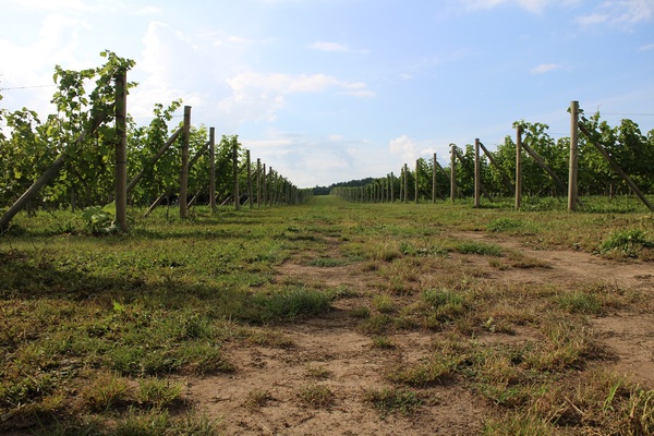 b0016474_7234164.jpg