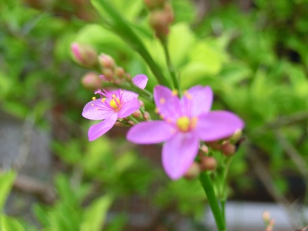 c0214577_1812104.jpg