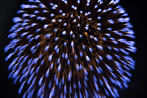 d0089281_13463480.jpg