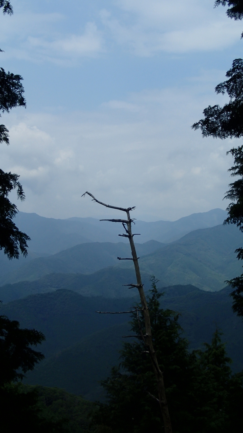 e0024081_19523322.jpg