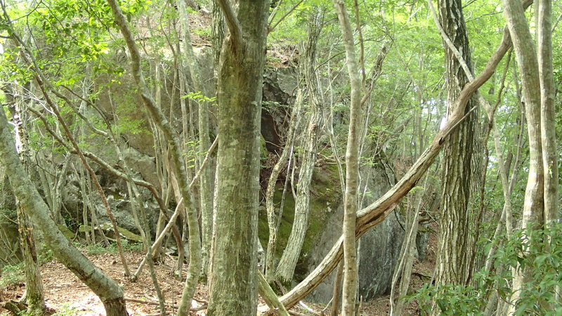 e0024081_19581378.jpg