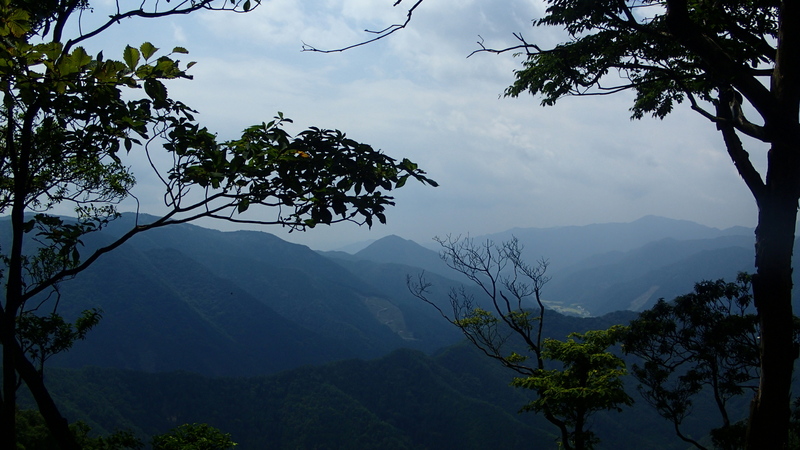 e0024081_2021467.jpg