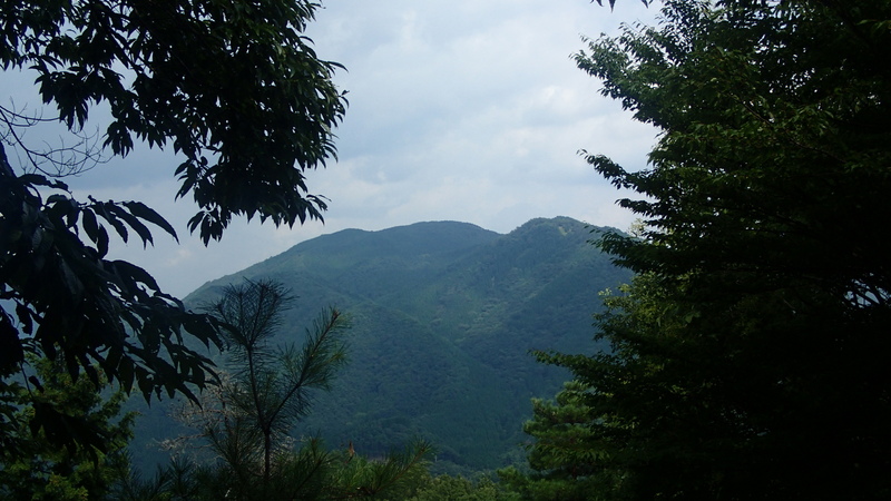 e0024081_2033066.jpg