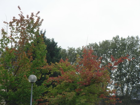 a0247585_5162850.jpg