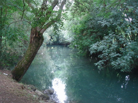 a0247585_52098.jpg