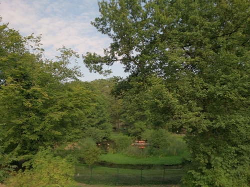 b0169887_20563155.jpg