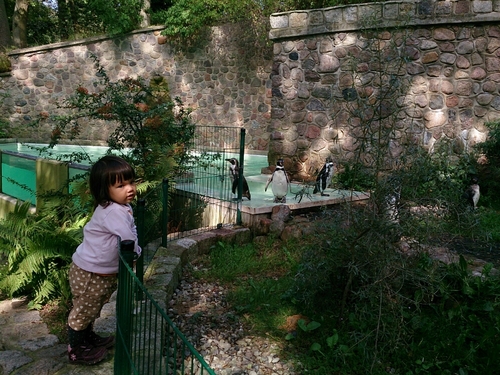 b0169887_20593988.jpg