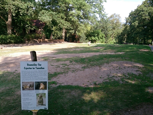b0169887_213305.jpg