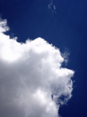 c0096393_2053980.jpg