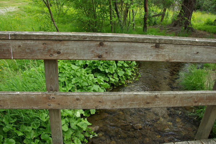 f0268294_18133233.jpg