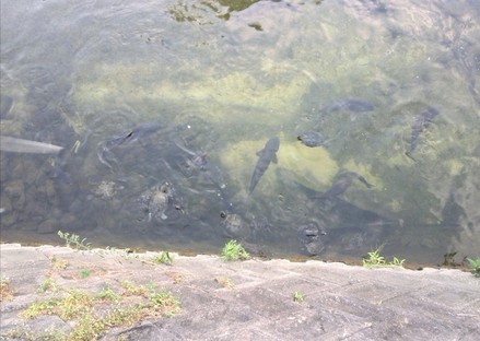 b0201198_20261165.jpg