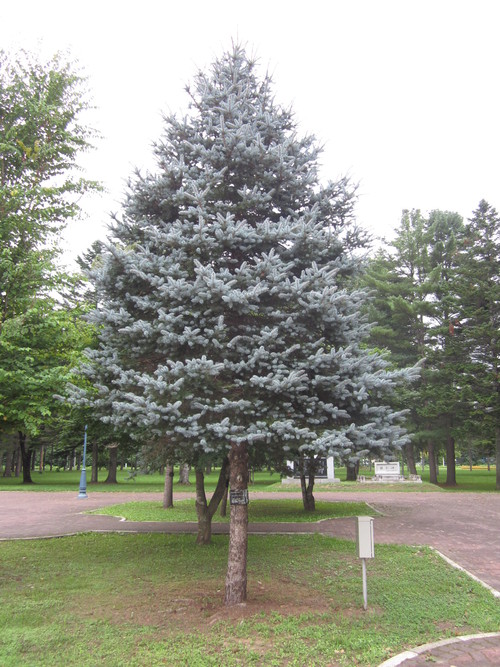 f0013998_11403426.jpg