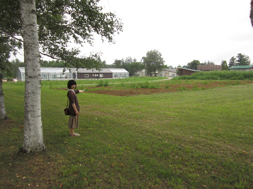 f0013998_11405827.jpg