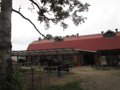 f0013998_11414678.jpg