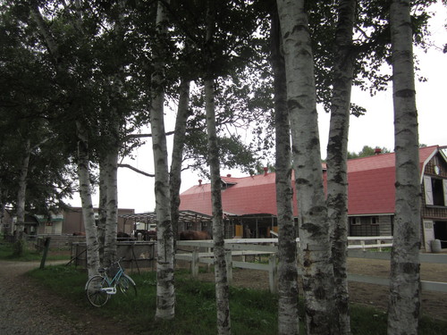 f0013998_1142048.jpg