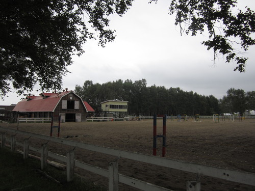 f0013998_11421374.jpg