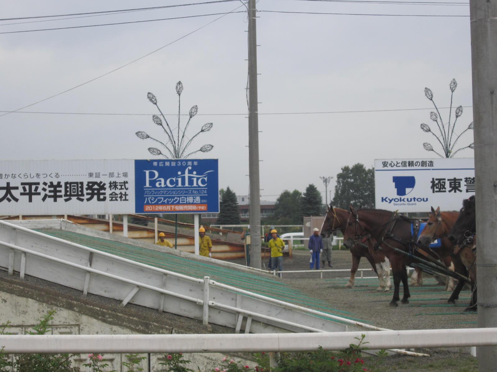 f0013998_11484265.jpg