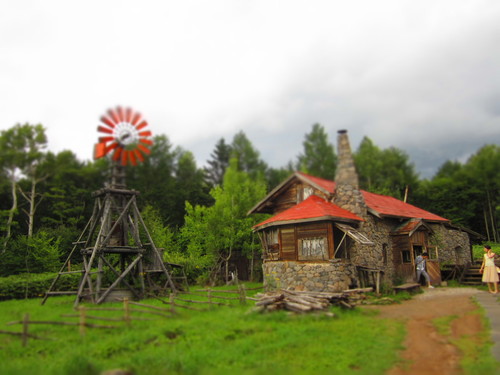 f0013998_8124769.jpg