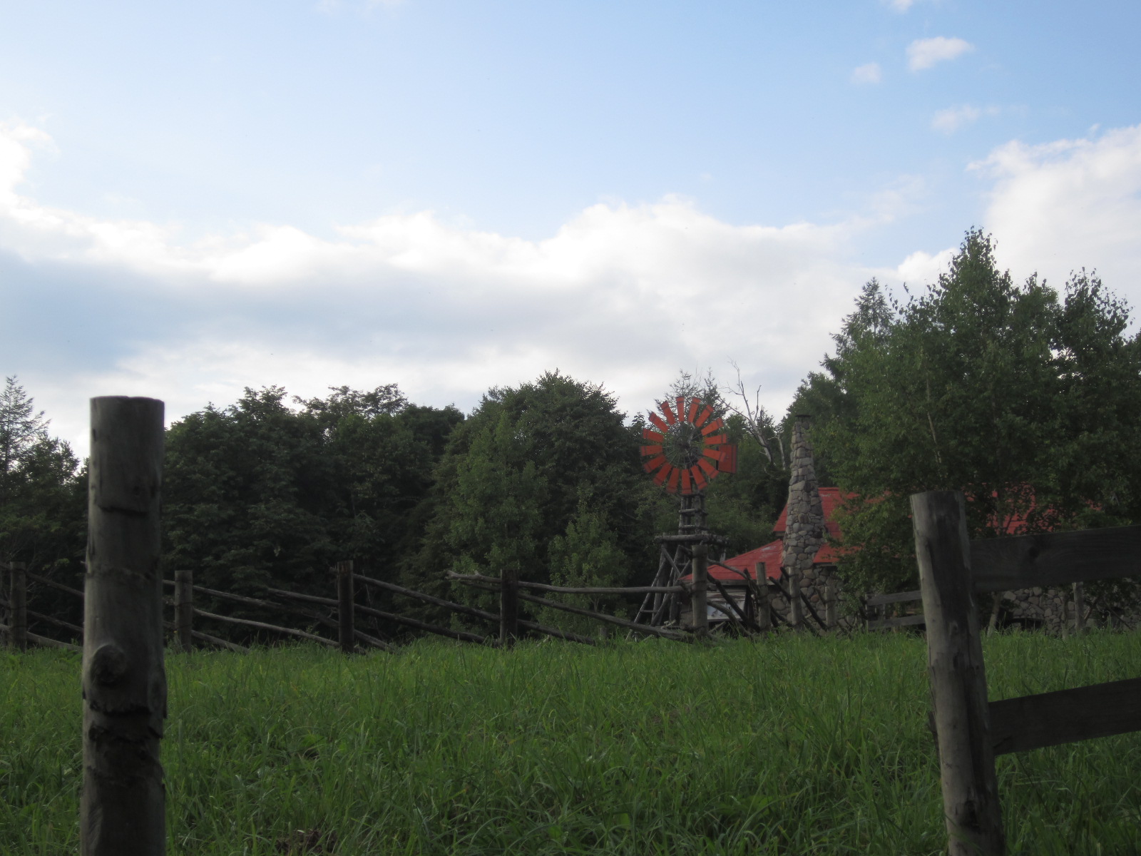 f0013998_8141968.jpg