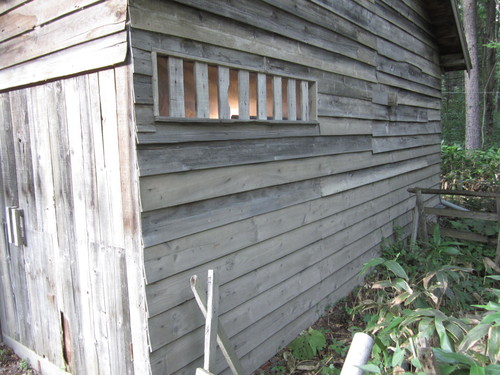 f0013998_8143960.jpg