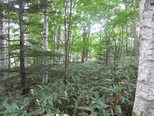 f0013998_8152610.jpg