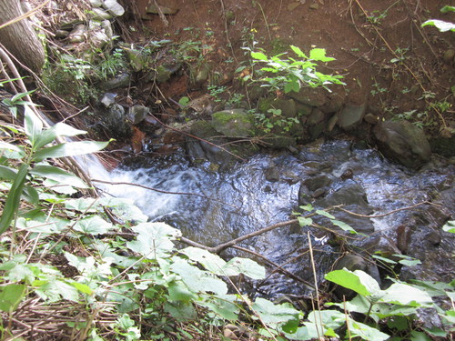 f0013998_8154471.jpg