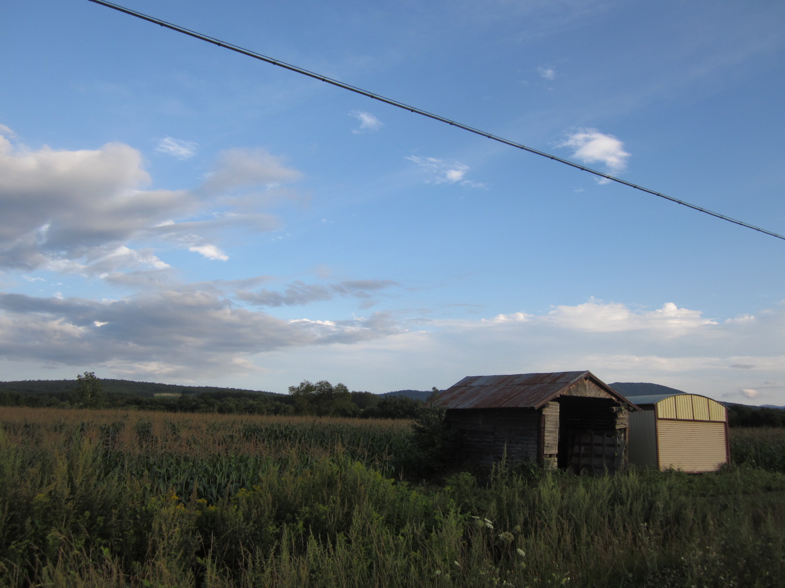 f0013998_8175961.jpg