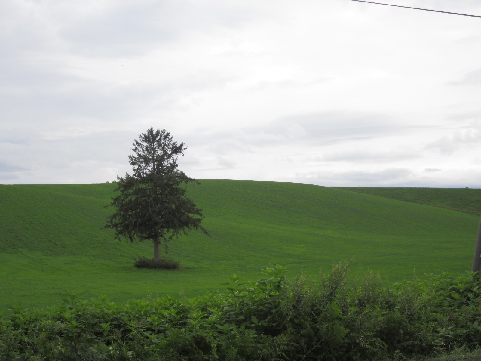 f0013998_832276.jpg