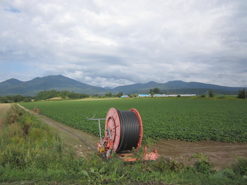f0013998_843714.jpg