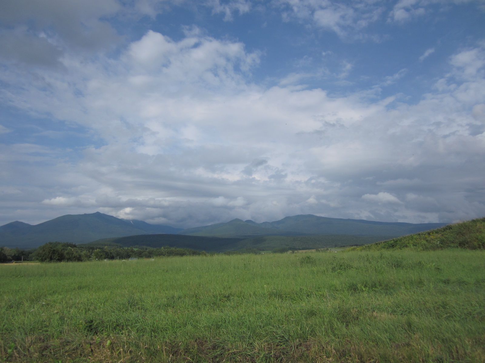 f0013998_854185.jpg