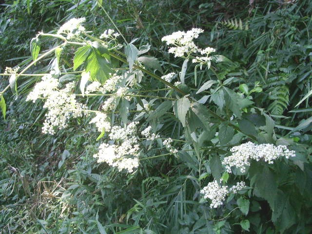 e0025300_16344440.jpg