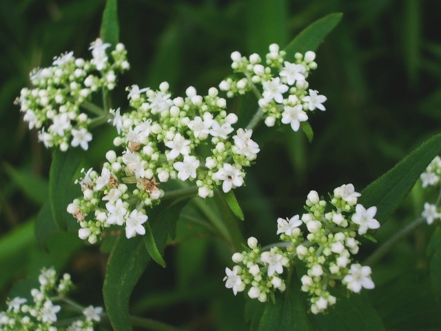 e0025300_16351610.jpg