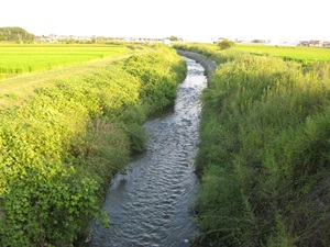d0240201_11534630.jpg