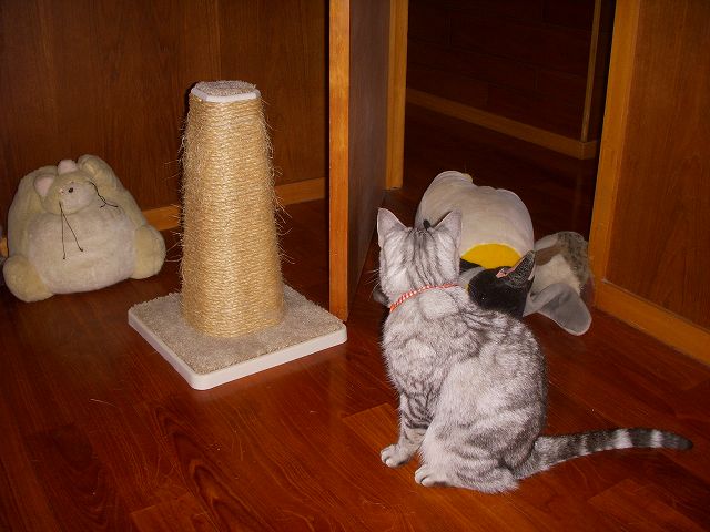c0187403_15161652.jpg