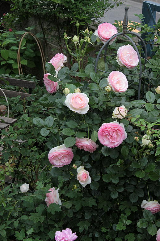 d0166303_23475197.jpg