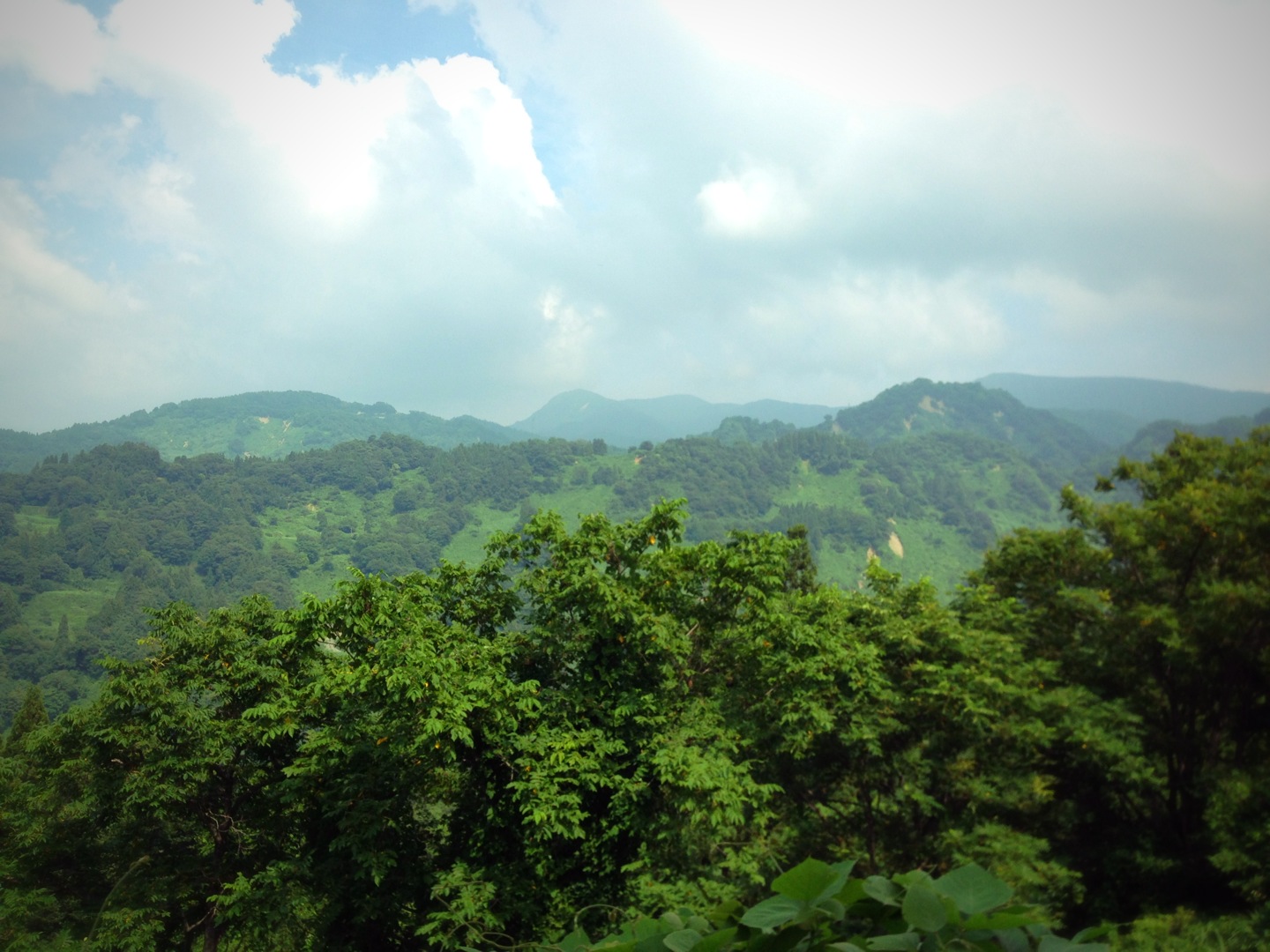 c0147116_16181151.jpg