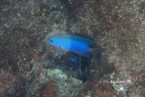 b0164920_20111738.jpg