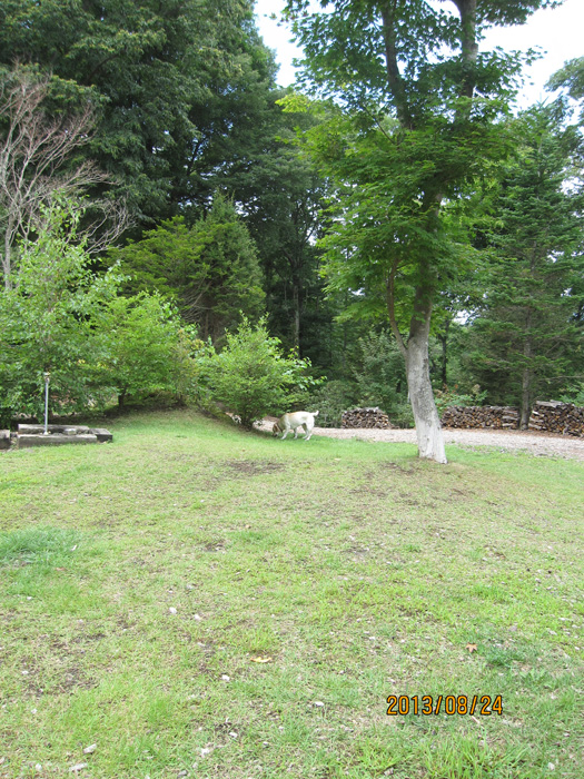 e0244621_2242203.jpg