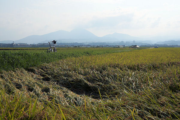 f0007926_914919.jpg