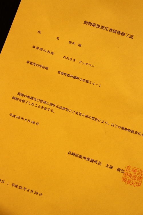 d0158028_1945075.jpg