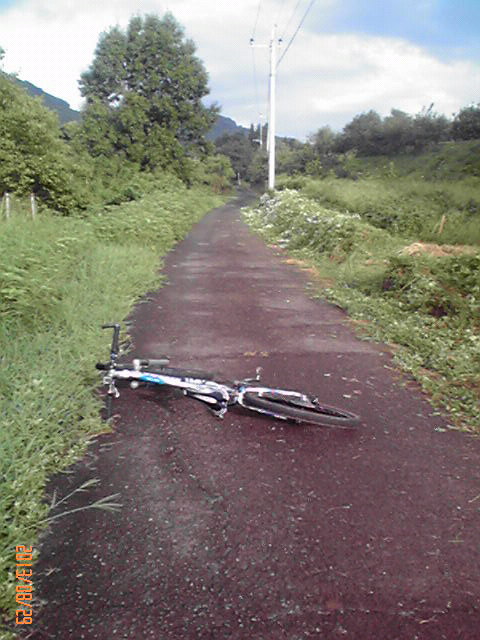b0222530_1713381.jpg