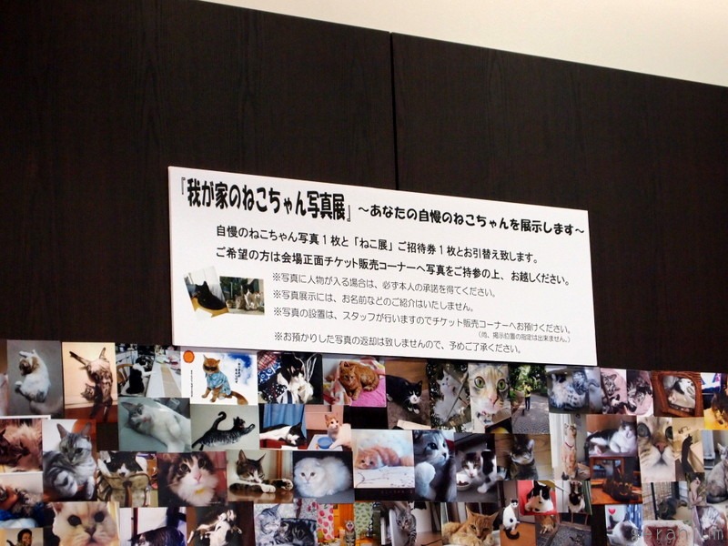 c0133533_1111258.jpg