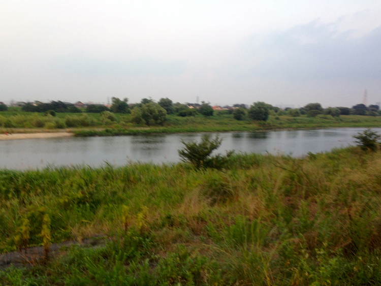d0013834_2181382.jpg