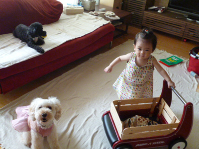 d0070047_045281.jpg