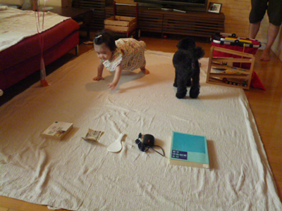 d0070047_062374.jpg