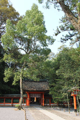 c0011649_23521244.jpg