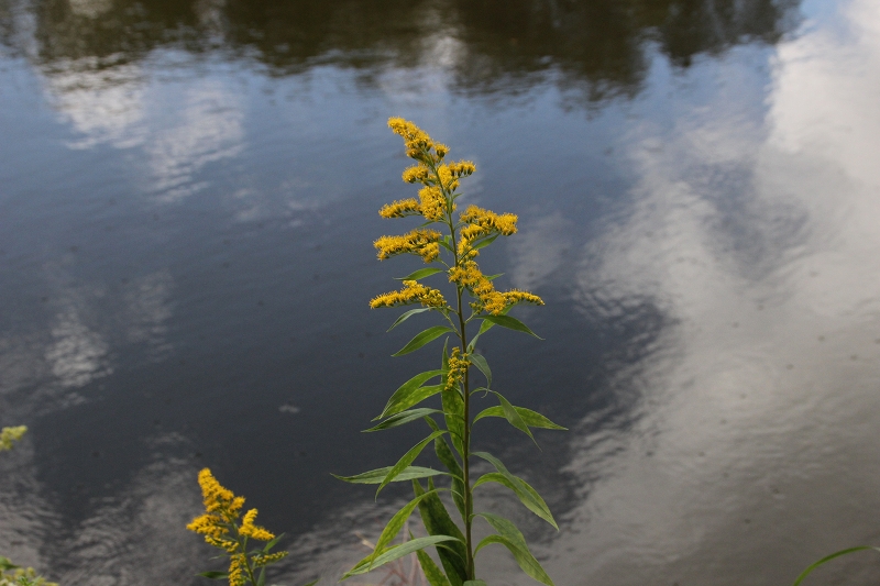 b0250154_0512495.jpg