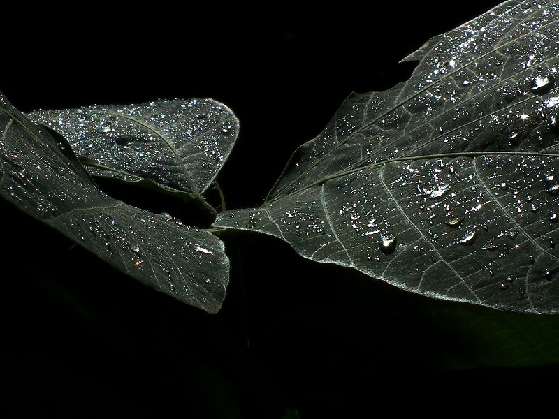 a0018655_19123612.jpg