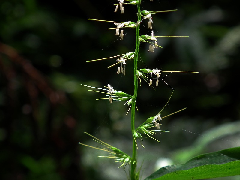 a0018655_1971311.jpg