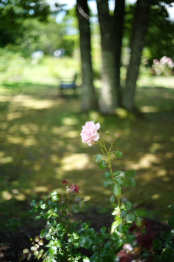 f0214858_1122018.jpg